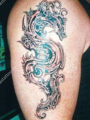 saschas-tattoo-black-and-grey-44